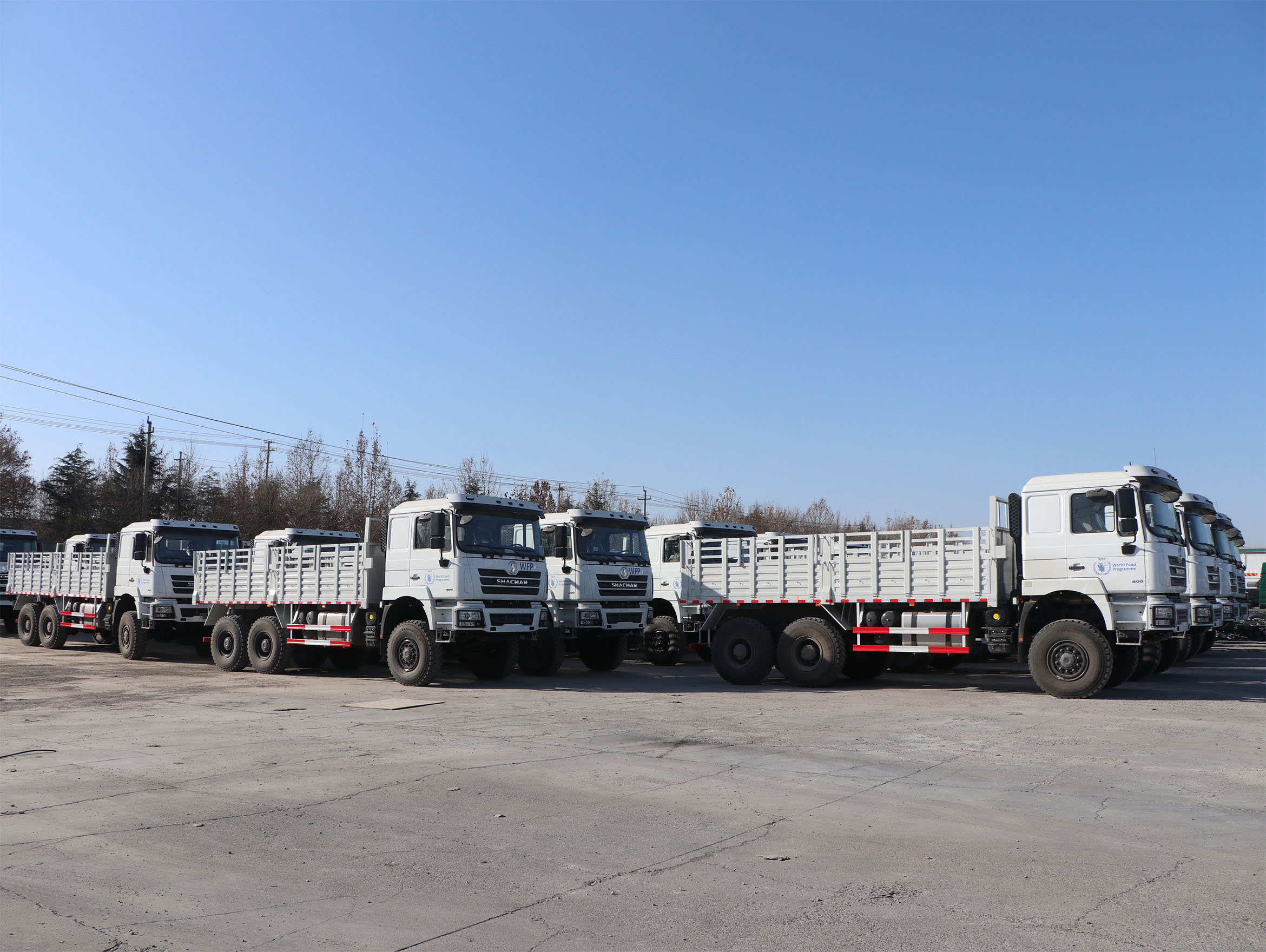 The model F3000 Cargo Truck required by the World Food Programme.